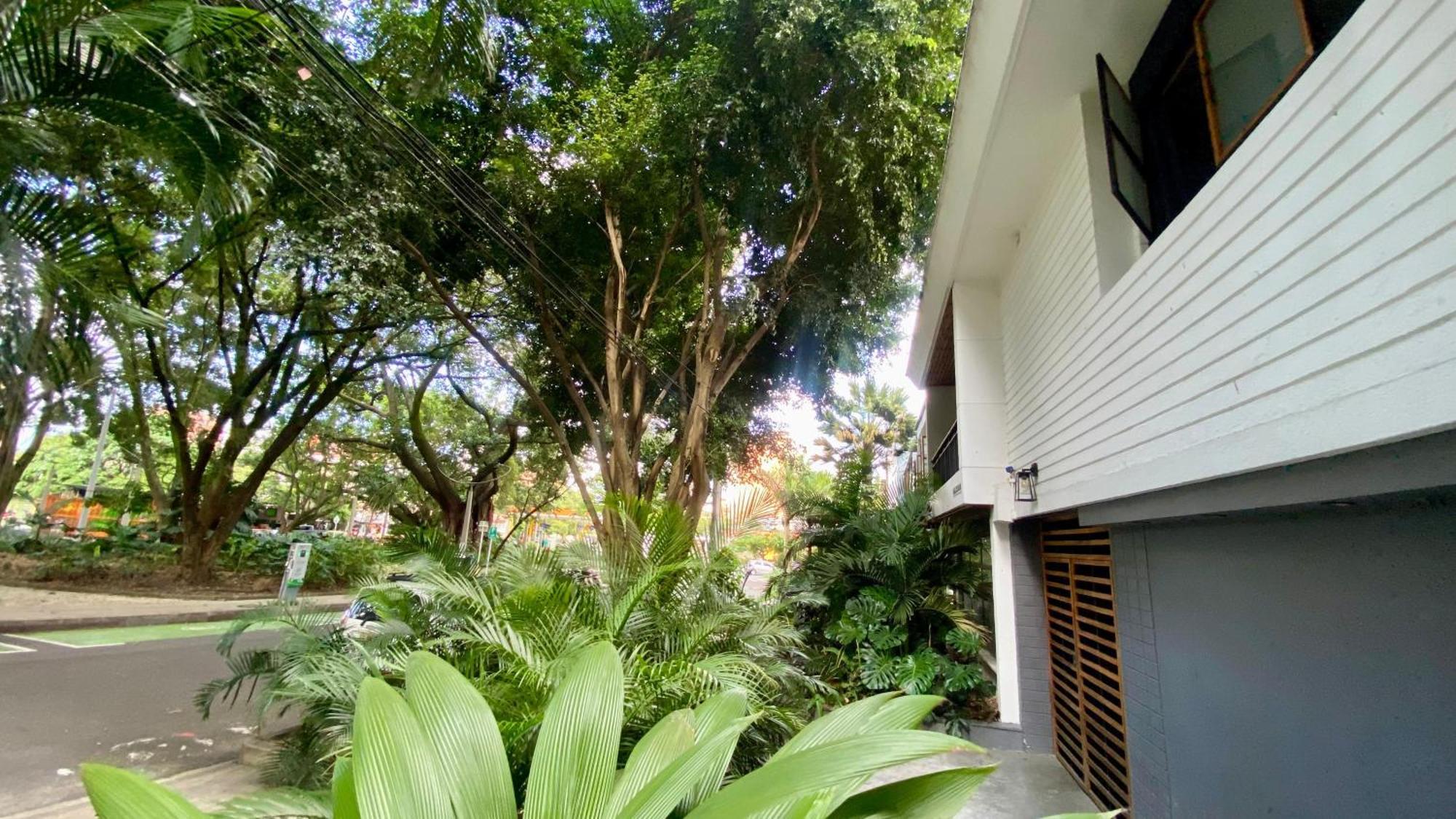 Casa Mosaiko Primer Parque Laureles 메딜린 외부 사진